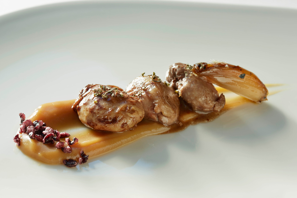 Acanthum-Plato-02
