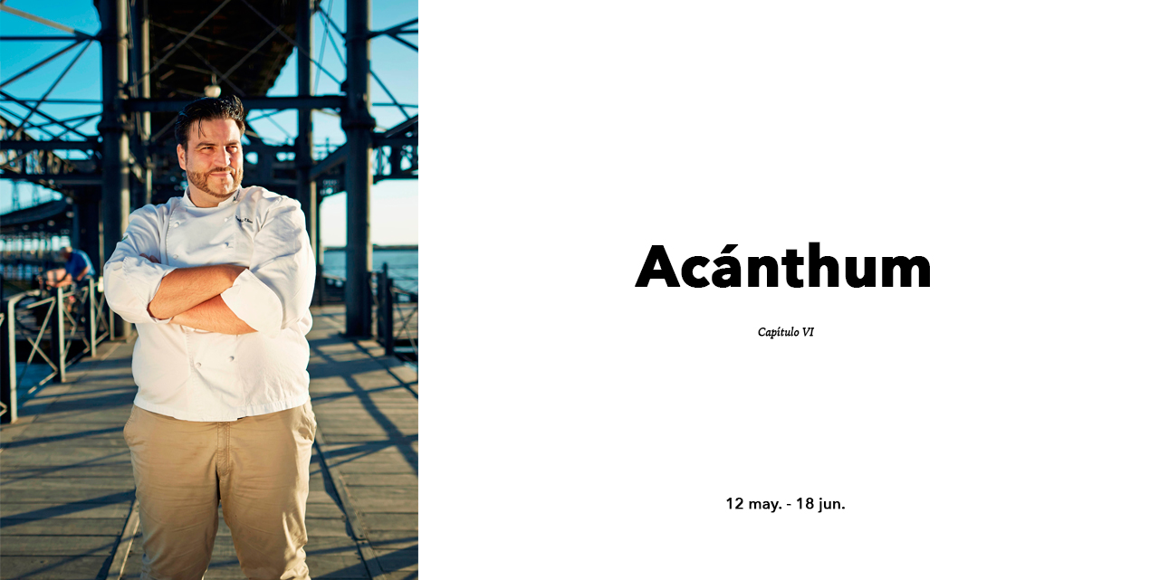 acanthum